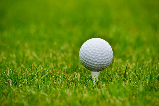 istock Golf ball in grass, close up 156207360