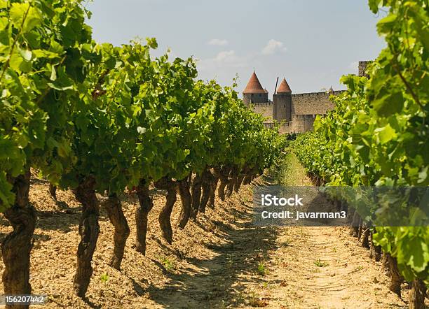 Landscape Of Medieval Carcassonne And Its Vineyards Stock Photo - Download Image Now