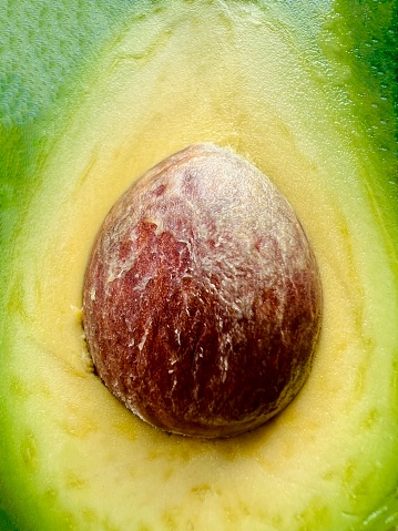 Close up Inside half and seeds of the avocado,reflection