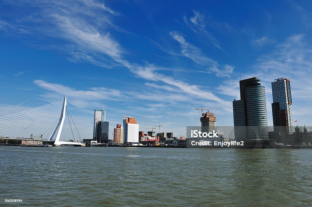 Ponte Erasmus em Roterdã. - Foto de stock de Adulação royalty-free