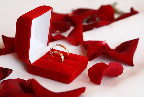 Wedding-rings and petals of rose