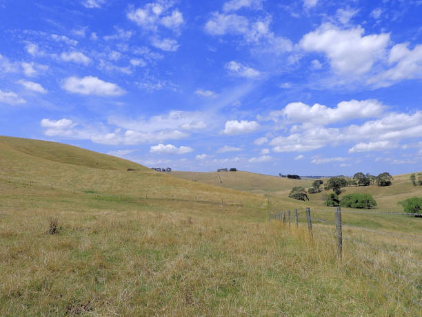 istock Kurumburra,  Victoria,  Australia 1562087023