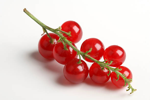 Fresh currant on a white background stock photo