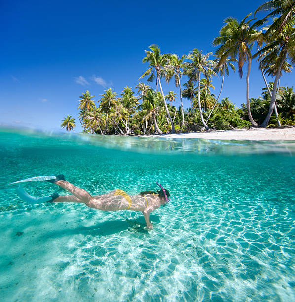 istock Woman swimming underwater 156209122