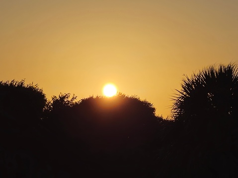 Sunset On Galveston Island