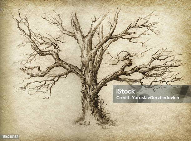 The Bare Tree Stock Illustration - Download Image Now - Tree, Bare Tree, Old