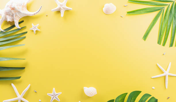 istock Summer composition concept made from starfish, sea shell and monstera leaf on pastel yellow background. 1562103939