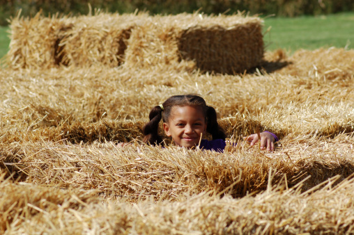 Little girl in a hay maze