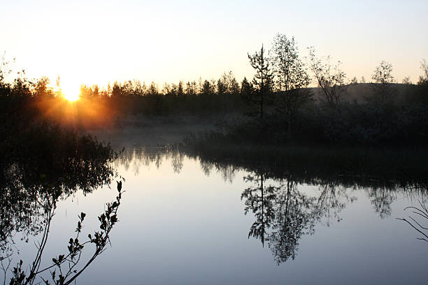 Midnight Mist stock photo