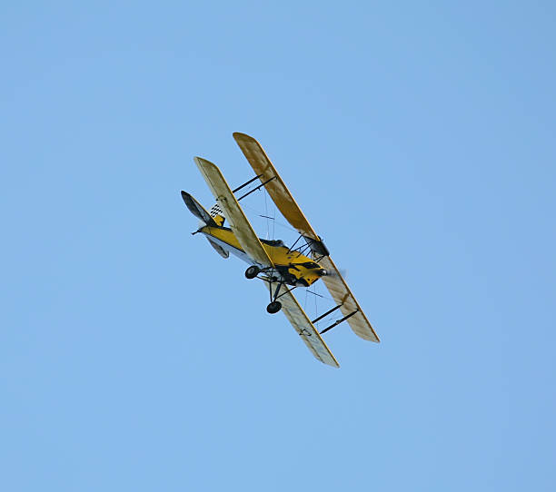 Tiger Moth flying stock photo