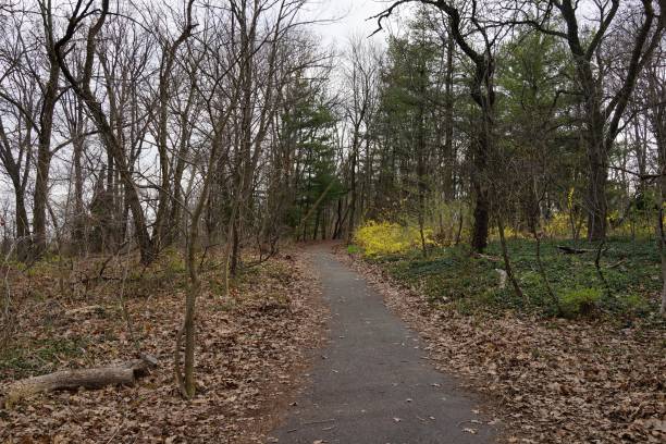 istock Inwood Hill Park 03-26-2016 1562111761