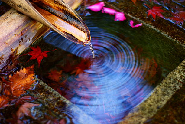 de l'eau - japanese maple leaf water japan photos et images de collection