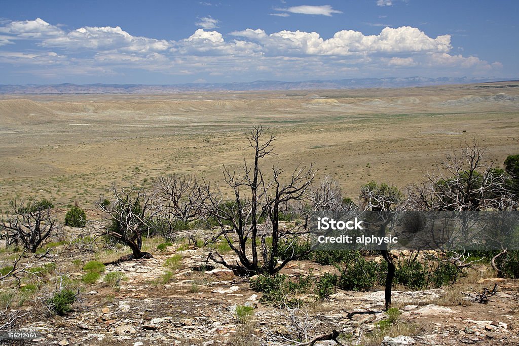 Utah del desierto - Foto de stock de Aire libre libre de derechos