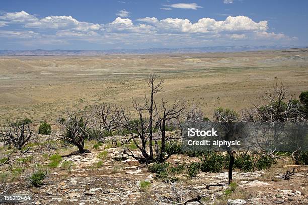 Utah Del Desierto Foto de stock y más banco de imágenes de Aire libre - Aire libre, Aislado, Ancho