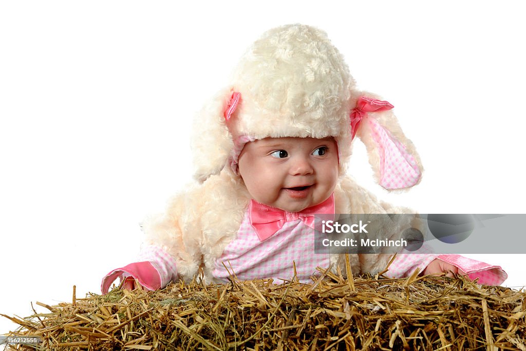 Baby-Baa - Lizenzfrei 0-11 Monate Stock-Foto
