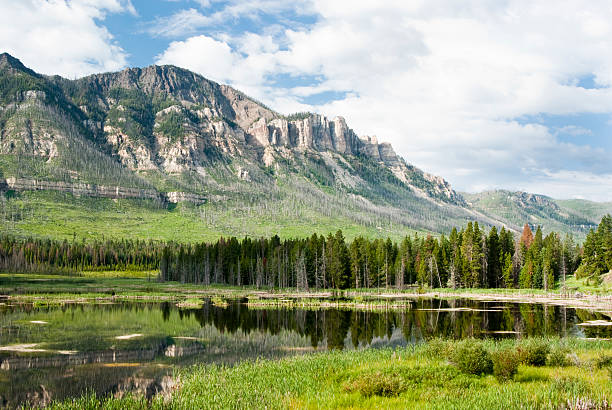reflections in a lake along Chief Joseph Scenic Byway in Wyoming.