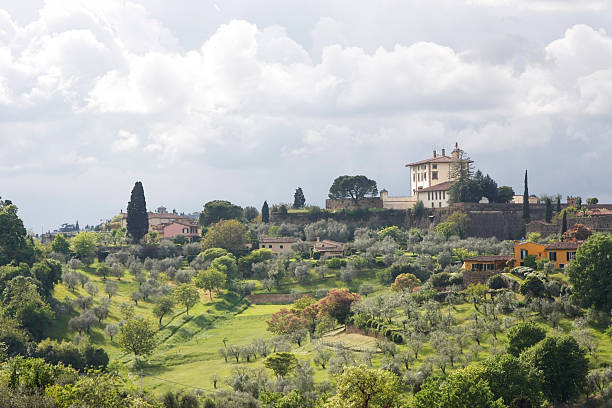 istock The Tuscan Hills, Italy, Europe 156213444