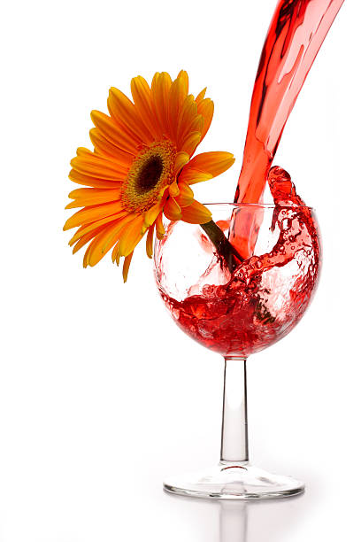 red flower alc. stock photo