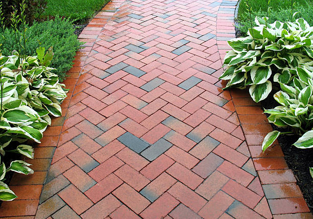Geometric Design - Brickwalk Landscaping This picture of a red brick sidewalk may be used as a background image in topics related to landscaping, bricks, geometric patterns, masonry, bricklaying, etc. High use by landscaping companies. hosta photos stock pictures, royalty-free photos & images