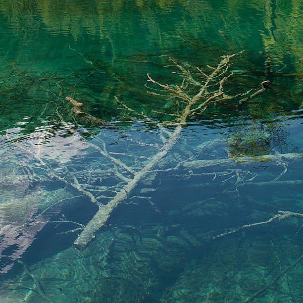 trasparenti acqua - plitvice lakes national park water lake national park foto e immagini stock