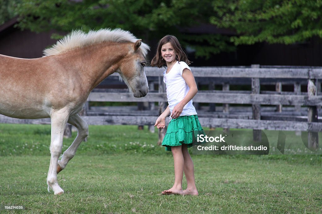 Menina com jovem Cavalo brunette - Royalty-free Amizade Foto de stock