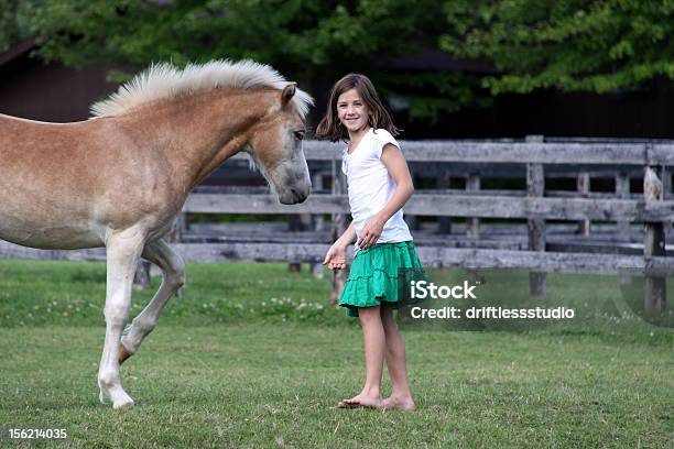 Foto de Menina Com Jovem Cavalo Brunette e mais fotos de stock de Amizade - Amizade, Amor, Animal