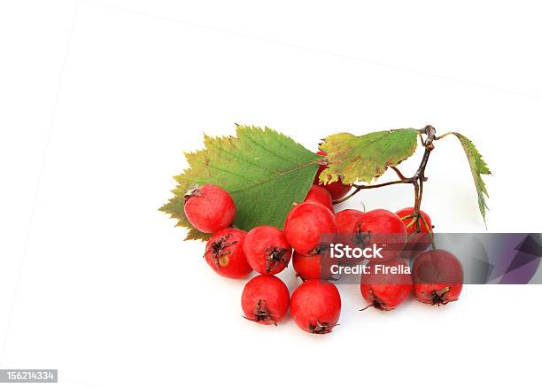 Red Haw Baga Isolado A Branco - Fotografias de stock e mais imagens de Branco - Branco, Colorido, Comida