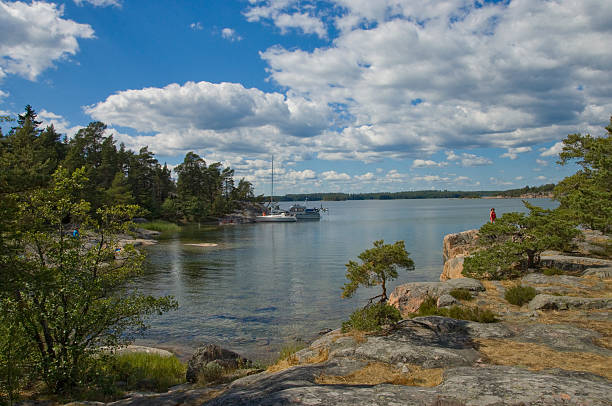istock Pure nature in sweden 156215175