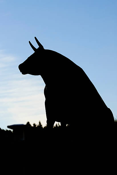 istock Silhouette of a bull 156217404