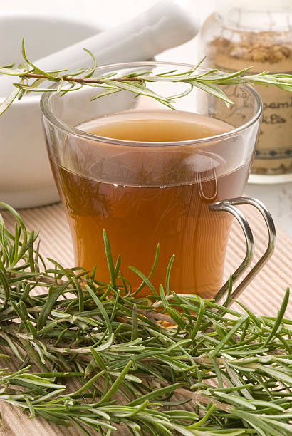 Herbal tea. Rosemary infusion stock photo