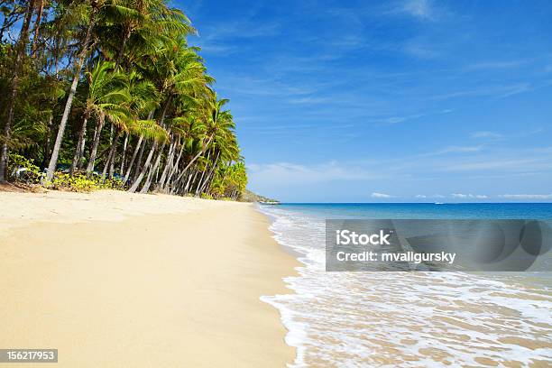 Foto de Deserto Praia Tropical Com Palmeiras e mais fotos de stock de Cairns - Austrália - Cairns - Austrália, Baía, Palmeira