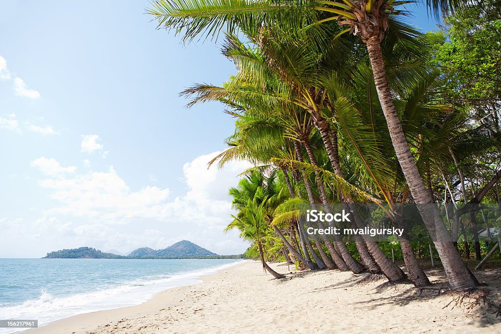 Praia Tropical com palmeiras em north Queensland - Foto de stock de Baía royalty-free