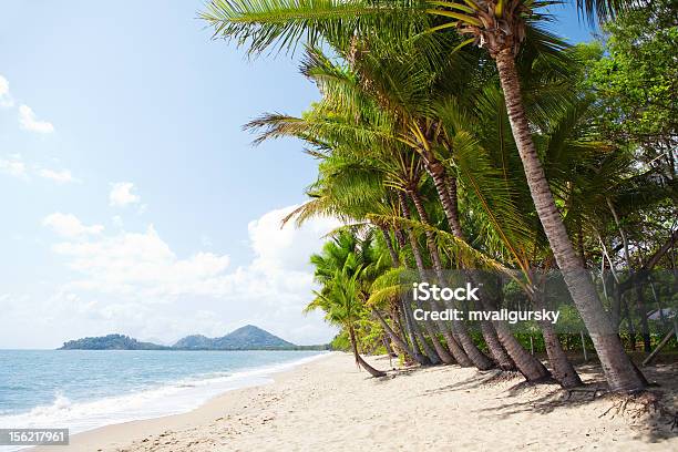 Foto de Praia Tropical Com Palmeiras Em North Queensland e mais fotos de stock de Baía - Baía, Palmeira, Cairns - Austrália