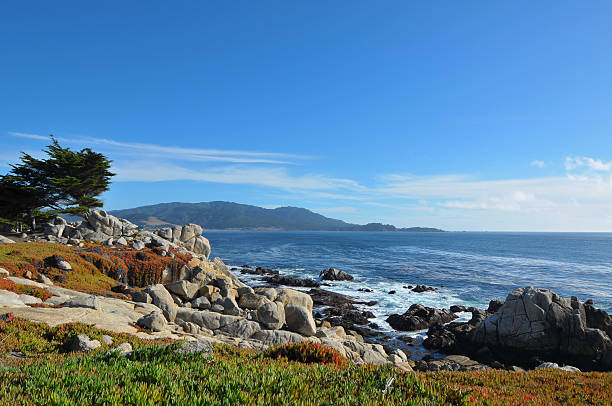 istock Coastal beauty 156218060
