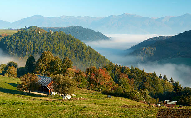 istock Morning at Sheep Farm 156218594