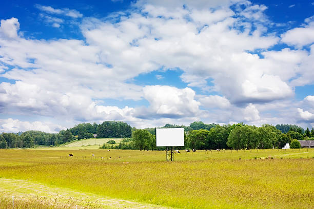 istock rural landscape with cows and blank billboard 156218759
