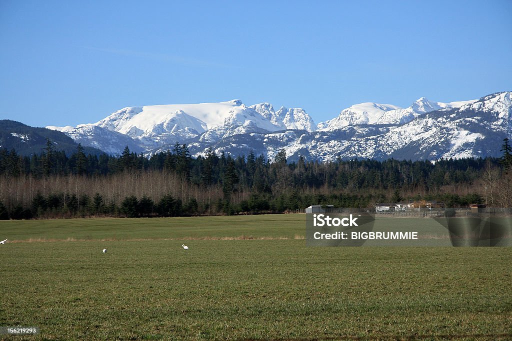 Glaciar ComoxCity in British Columbia Canada - Royalty-free Vale Foto de stock