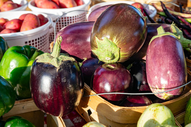 berinjela em exposição no mercado dos agricultores - eggplant farmers market purple agricultural fair - fotografias e filmes do acervo