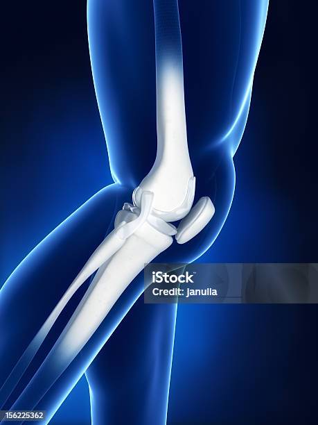 Кости колена фото Кости колена фото