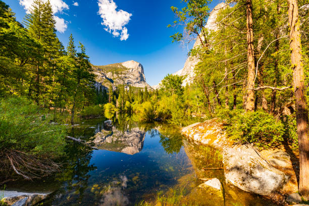 istock Reflection lake in nature with green forest and blue sky 1562268958