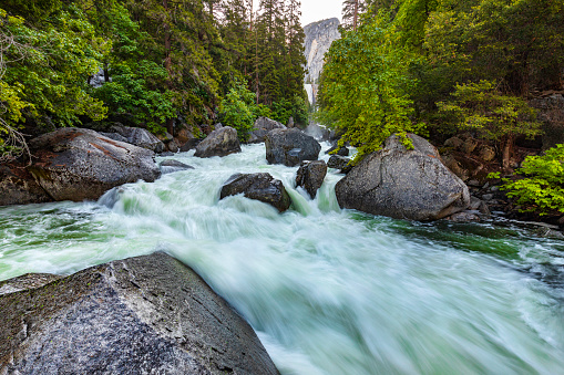 Powerful flowing river rapids in nature. Yosemite Valley National Park during peak snowmelt 2023, California, USA.