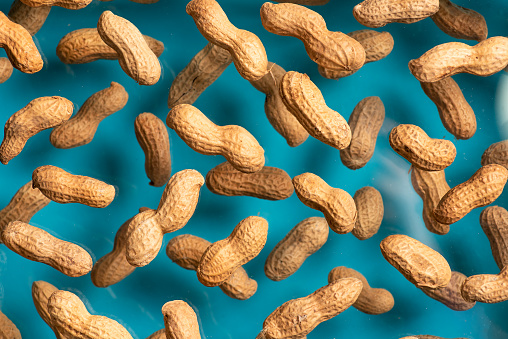 Peanuts in the shell. Collection of falling peanuts isolated on blue background. Selective focus