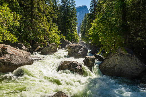 Powerful flowing river rapids in nature. Yosemite Valley National Park during peak snowmelt 2023, California, USA.