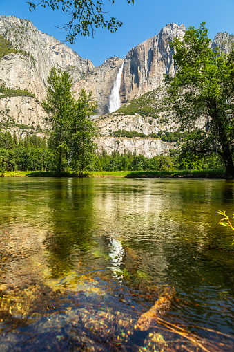 Yosemite Falls peak flow from snowmelt with reflection on still water in 2023, Yosemite Valley, National Park, California, USA.