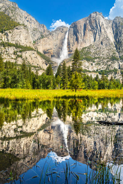 Yosemite Falls peak flow from snowmelt with reflection on still water in 2023, Yosemite Valley, National Park, California, USA.