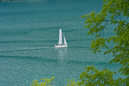 Young person sailing a small sailboat on the lake on a beautiful summer day.