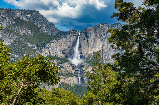 Yosemite Falls peak flow from snowmelt on a sunny summer day in 2023, Yosemite Valley, National Park, California, USA.