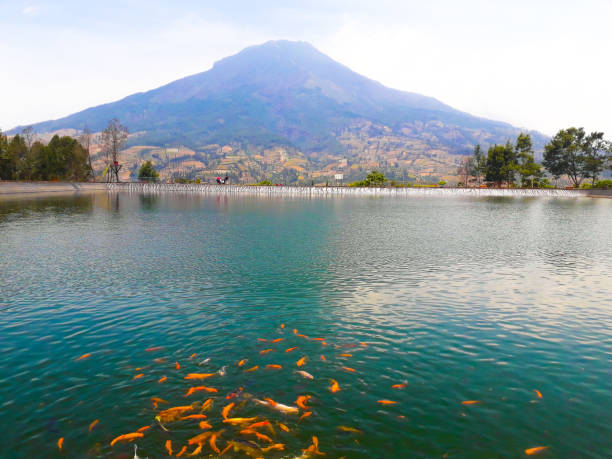 istock the most beautiful lake 1562390221