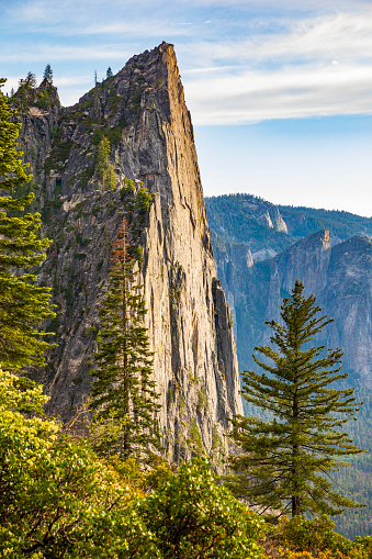 Beautiful summer landscape in Yosemite National park, California, USA