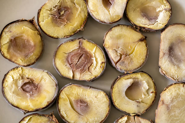 castañas dulces frescas. castañas asadas - chestnut roasted heat roasted chestnut fotografías e imágenes de stock